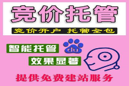 SEM托管代运营案例：优化用户体验策略