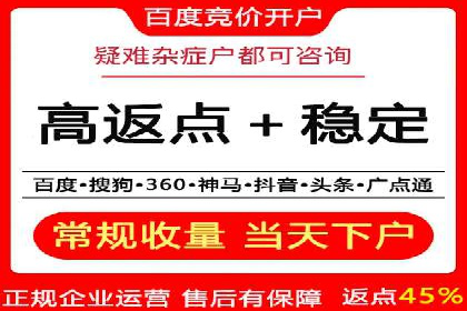 百度竞价代理的投放策略及某行业成功案例